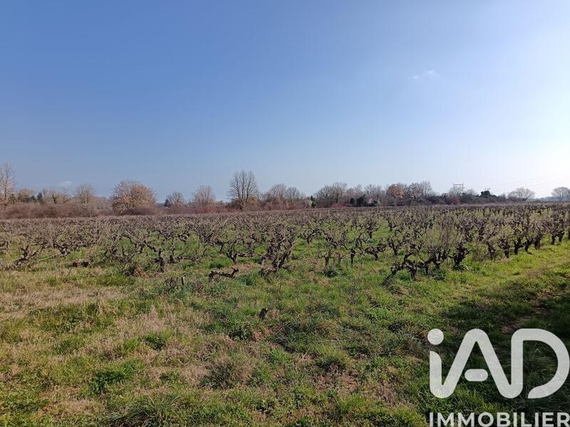 Terrain agricole - 14 040 m²