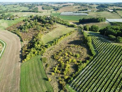 Terrain - 35 842 m²