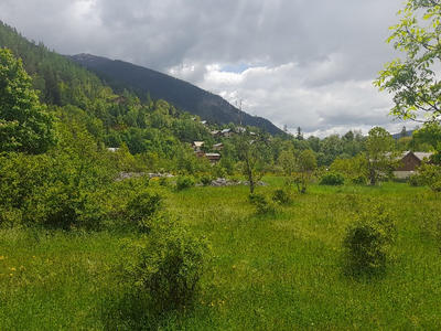 Terrain - 554 m²