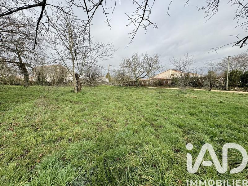 Terrain - 704 m²