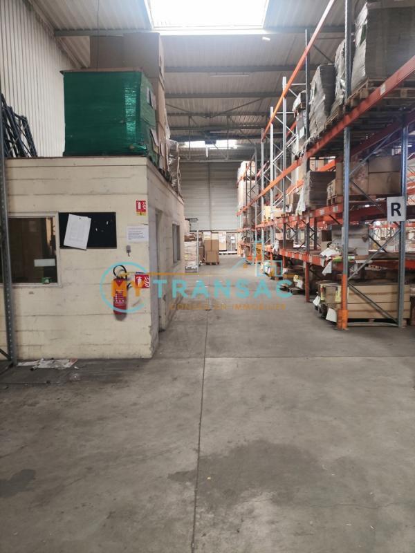 Local d'activité / Entrepôt - 3 699 m²