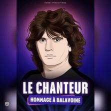 Le chanteur hommage Balavoine