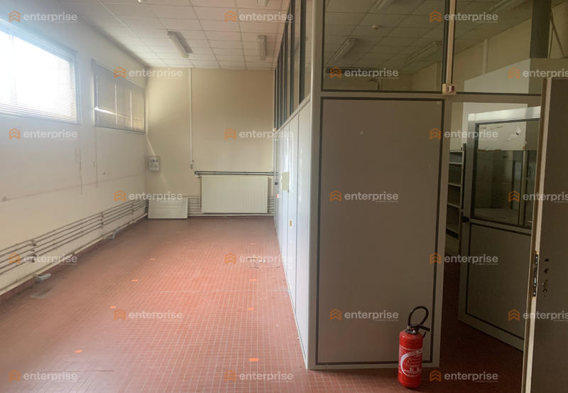 Local d'activité / Entrepôt - 1 227 m²