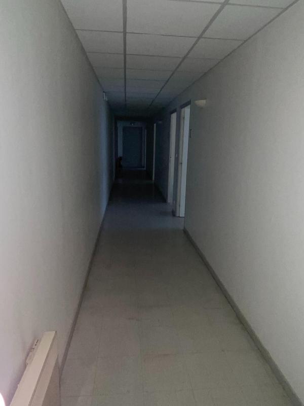 Bureau - 217 m² - 7 pièces