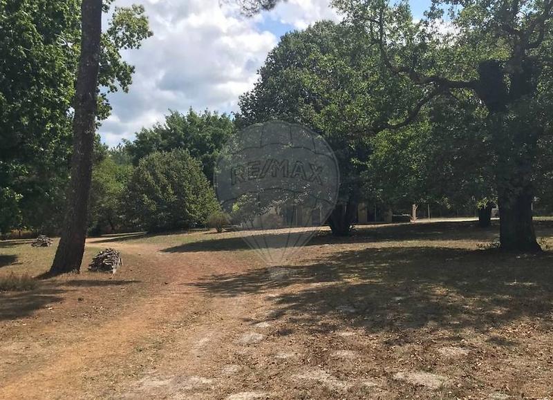 Propriété - 284 m² - 10 pièces