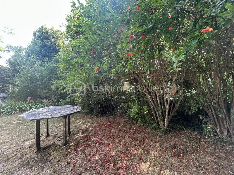 Maison de village - 80 m² - 3 pièces