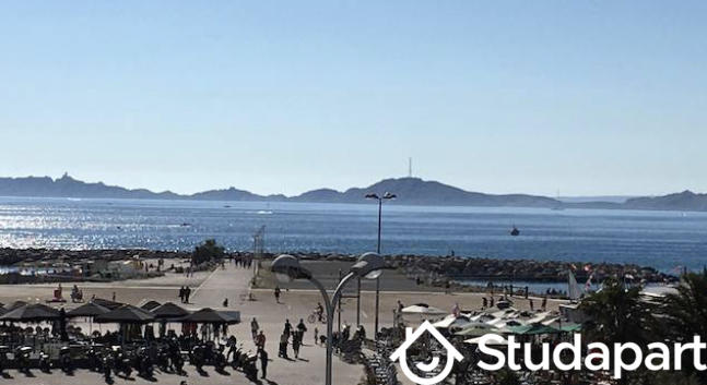 Appartement - 28 m² - 1 pièce