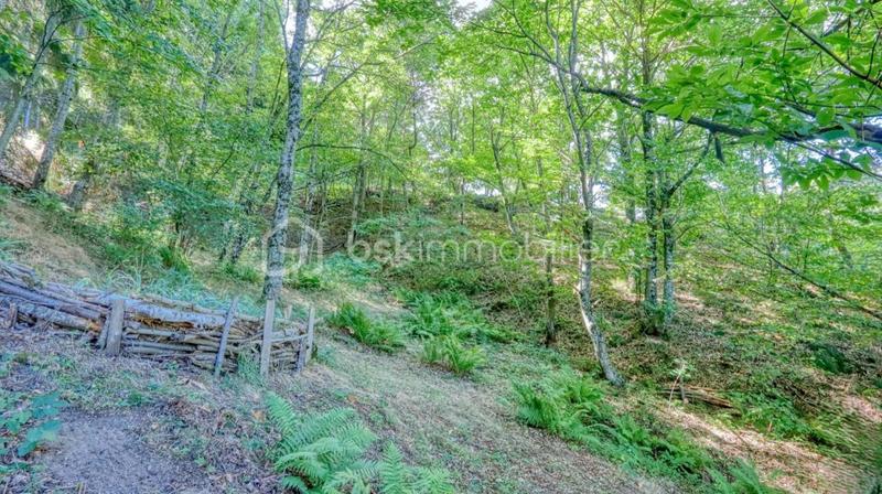 Ferme - 171 m² - 6 pièces