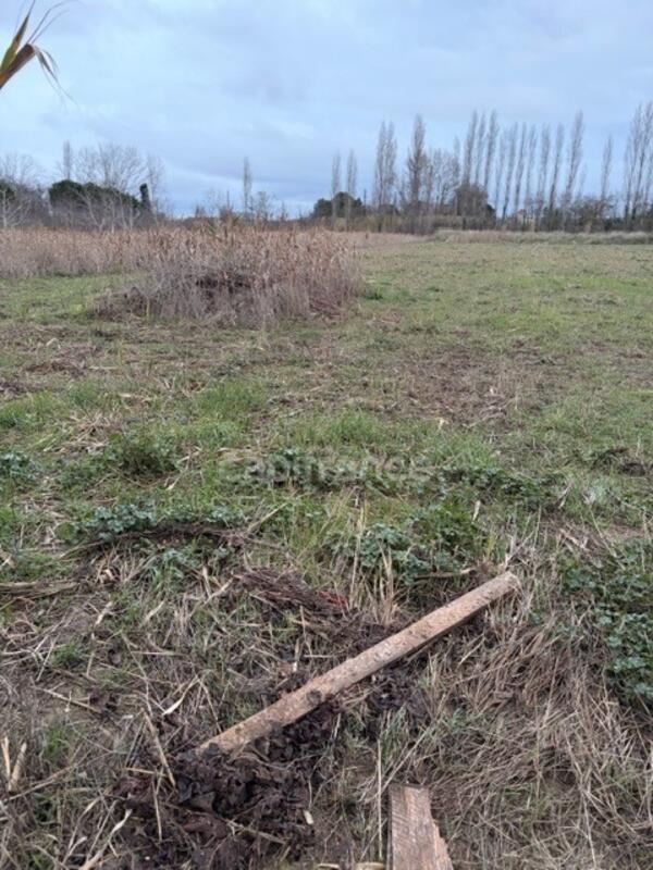 Terrain agricole - 6 250 m²