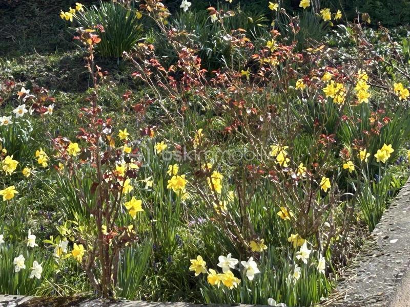 Maison de ville - 101 m² - 6 pièces