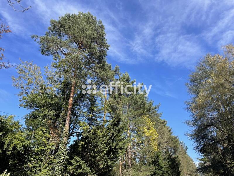 Appartement - 118 m² - 6 pièces