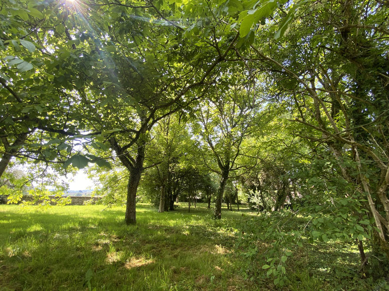 Maison - 122 m² - 7 pièces