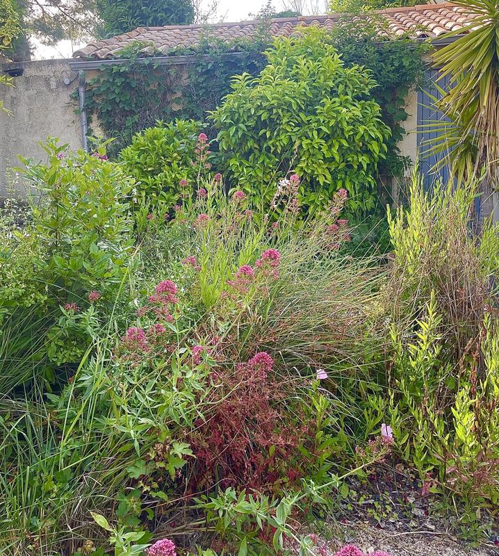 Villa - 210 m² - 9 pièces