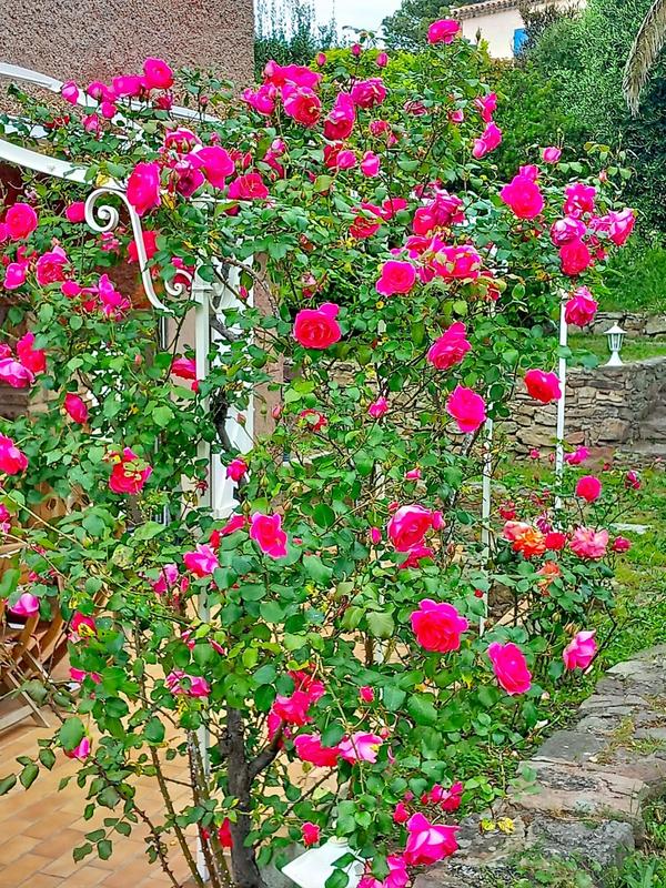 Maison de maîtres - 113 m² - 5 pièces