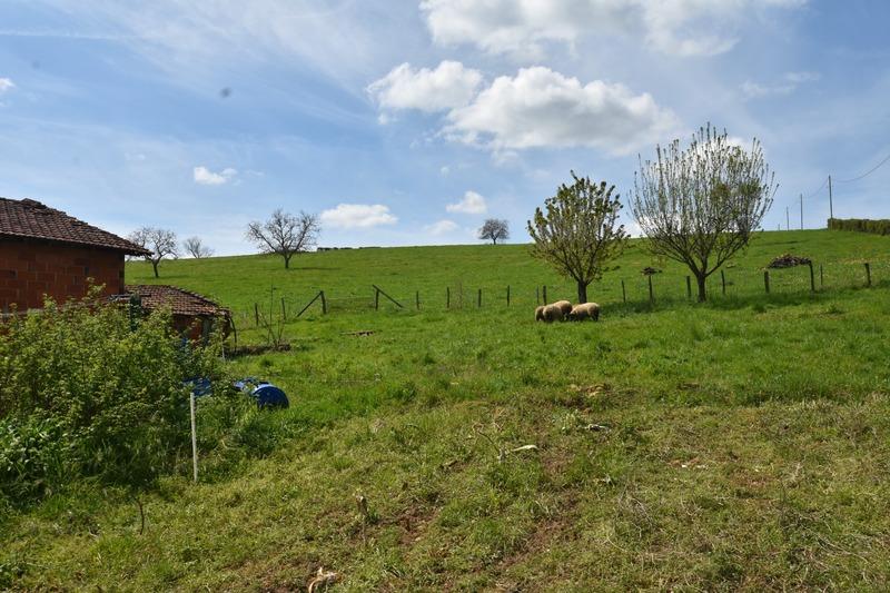 Maison - 181 m² - 7 pièces