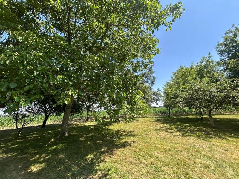 Maison - 161 m² - 6 pièces