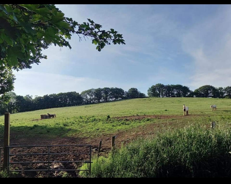 Maison de domaine équestre - 120 m² - 5 pièces