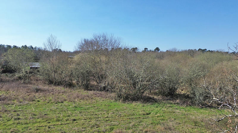 Terrain constructible - 2 290 m²