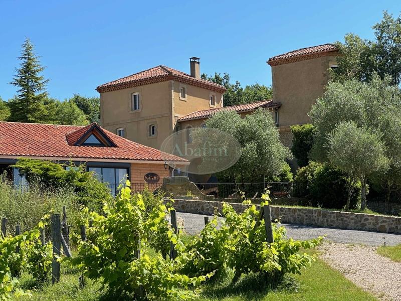 Château - 1 000 m² - 30 pièces