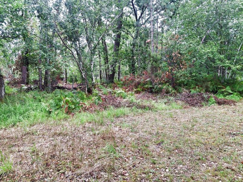 Maison - 60 m² - 4 pièces