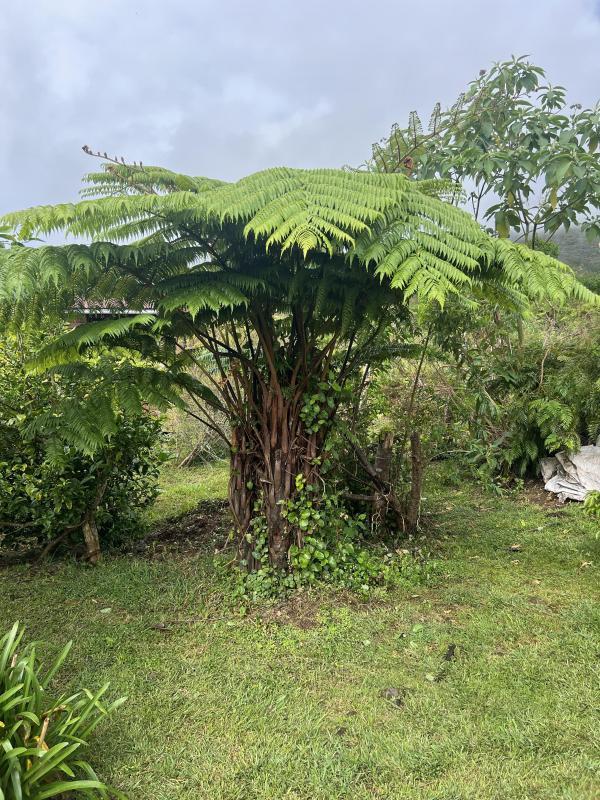 Châlet - 142 m² - 4 pièces