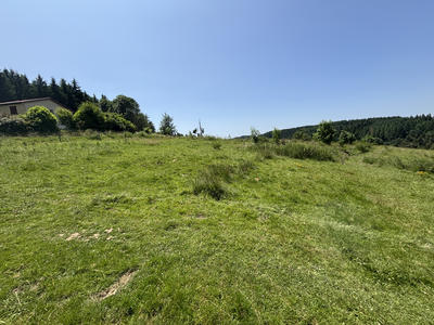 Terrain - 1 120 m²
