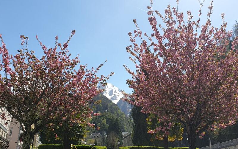 Balade commentée des Eaux-Bonnes