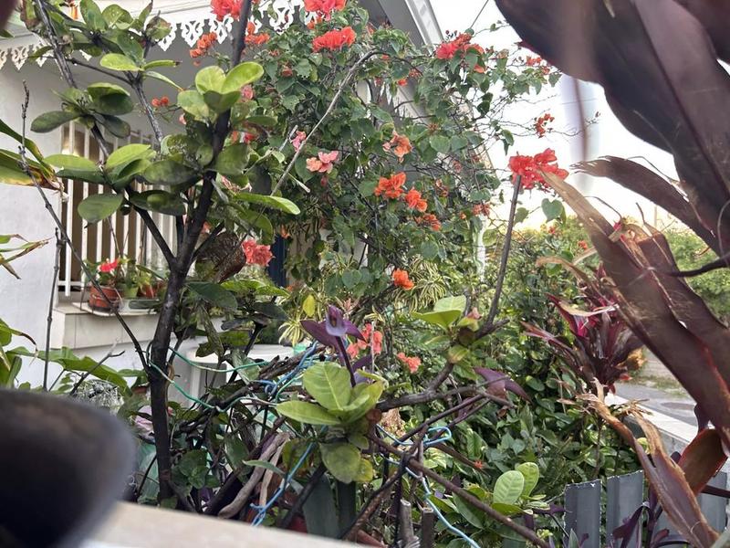 Maison - 196 m² - 6 pièces