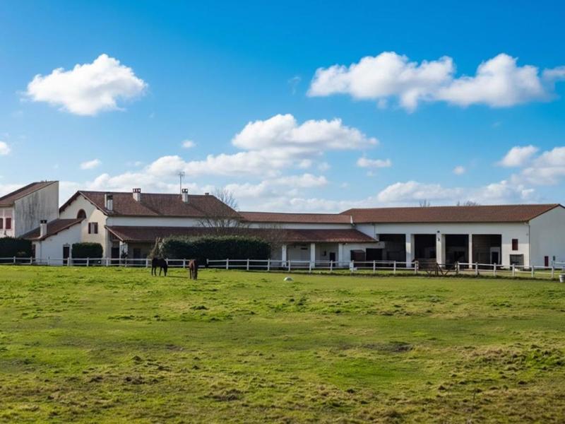 Maison - 454 m² - 15 pièces