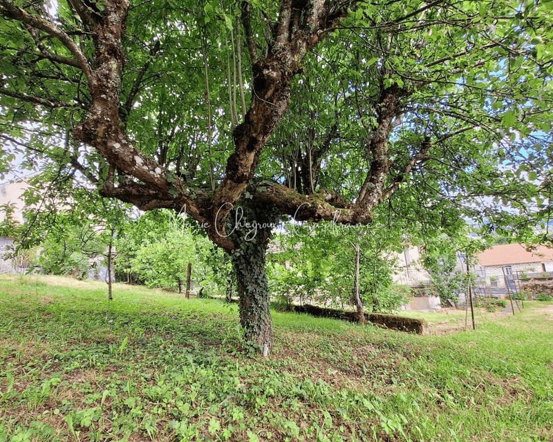 Maison - 137 m² - 5 pièces