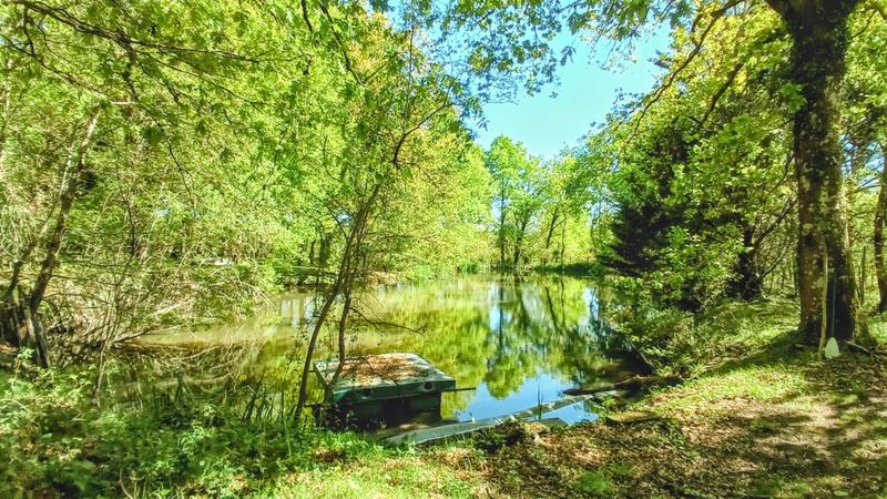 Maison - 230 m² - 7 pièces