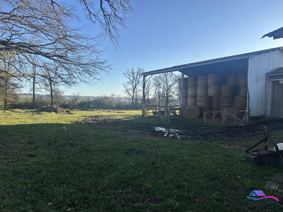 Maison - 75 m² - 3 pièces