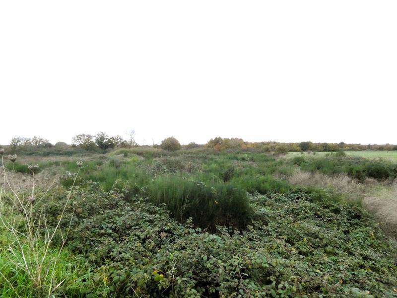 Terrain agricole - 20 600 m²