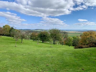 Maison - 331 m² - 9 pièces