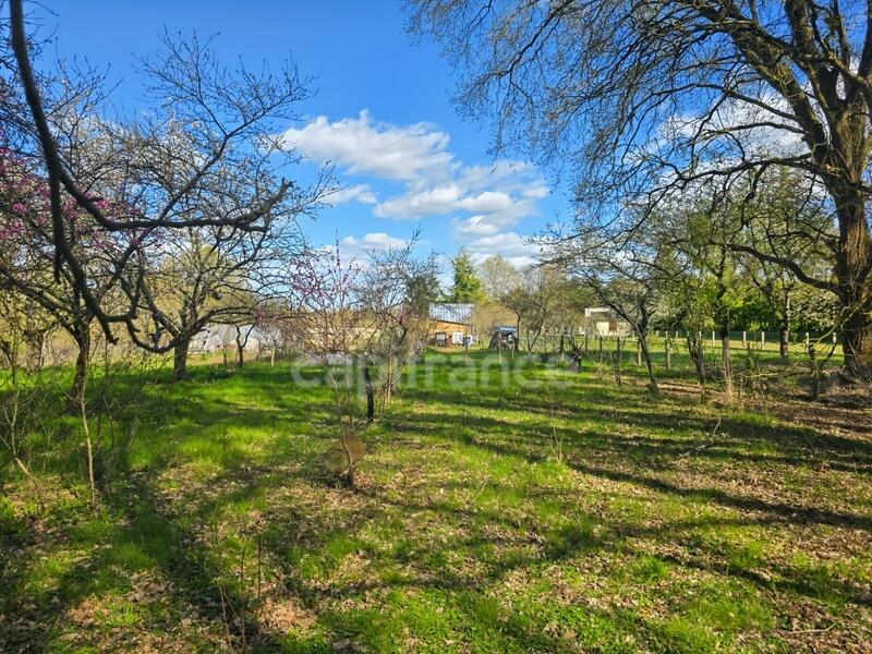 Terrain de loisirs - 3 815 m²