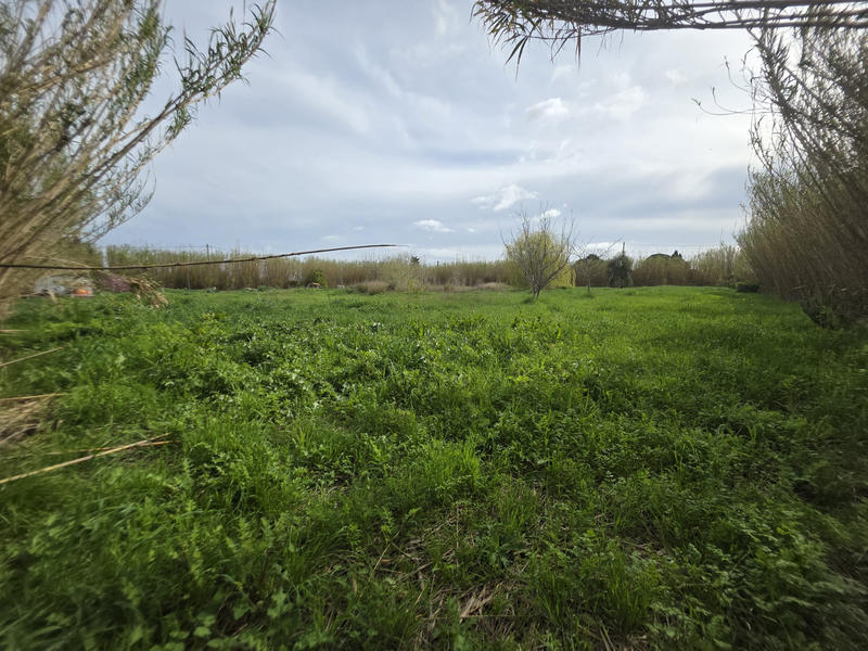 Terrain agricole - 5 006 m²