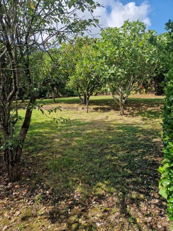 Maison bourgeoise - 285 m² - 10 pièces