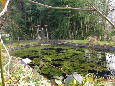 Maison d'architecte - 195 m² - 6 pièces