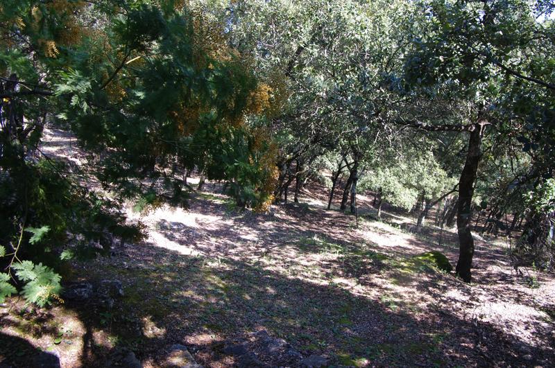 Villa - 105 m² - 5 pièces