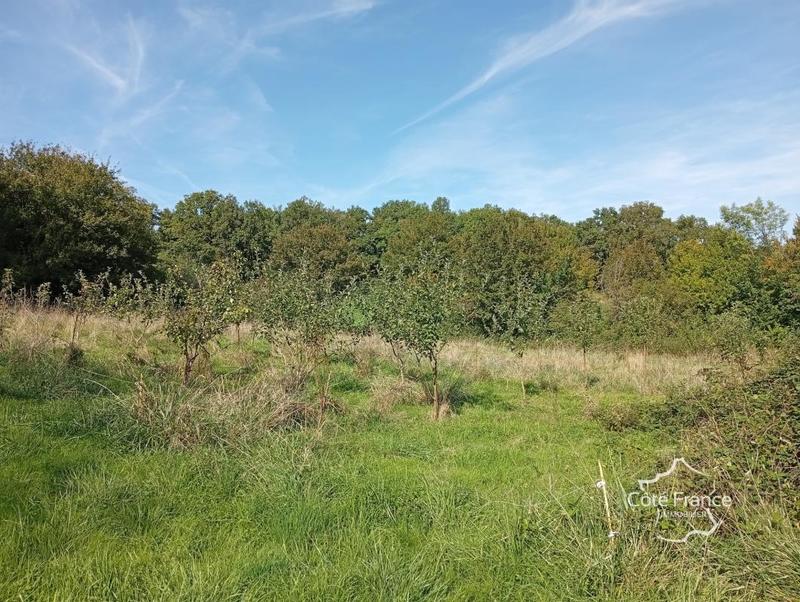 Corps de ferme - 270 m² - 9 pièces