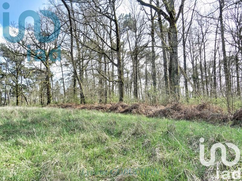 Terrain - 24 521 m²