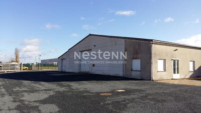 Local d'activité / Entrepôt - 10 000 m²