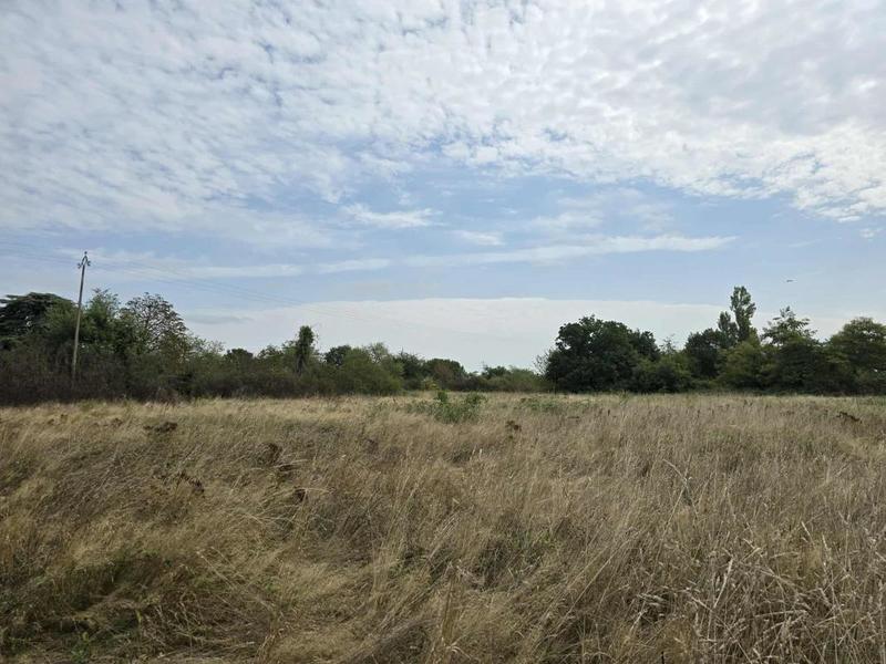 Terrain agricole - 7 040 m²