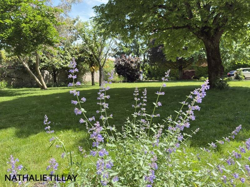 Maison - 380 m² - 11 pièces