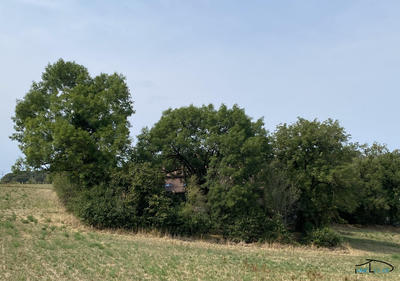 Ferme - 82 m² - 4 pièces