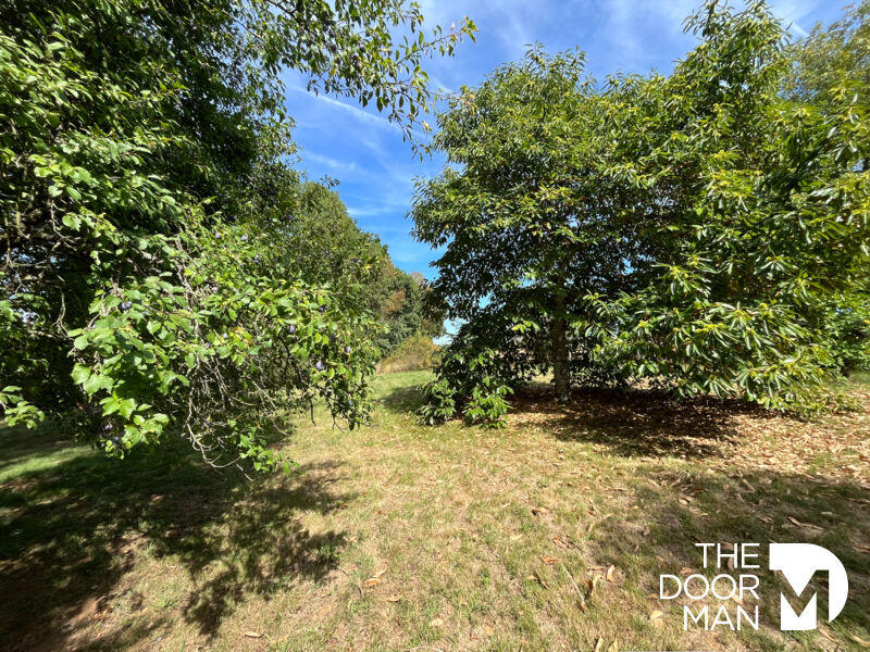 Maison - 202 m² - 8 pièces