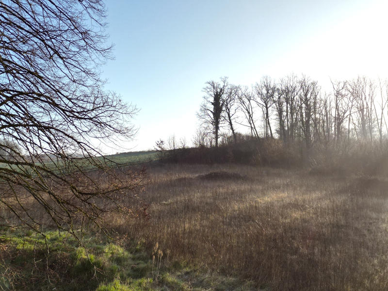 Maison - 102 m² - 4 pièces