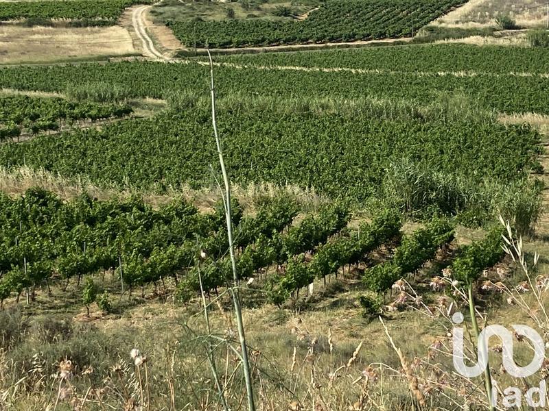 Terrain agricole - 216 211 m²