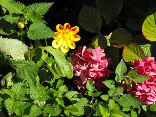 Chateau de la Flocelliere