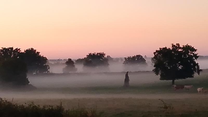 Longère - 148 m² - 5 pièces